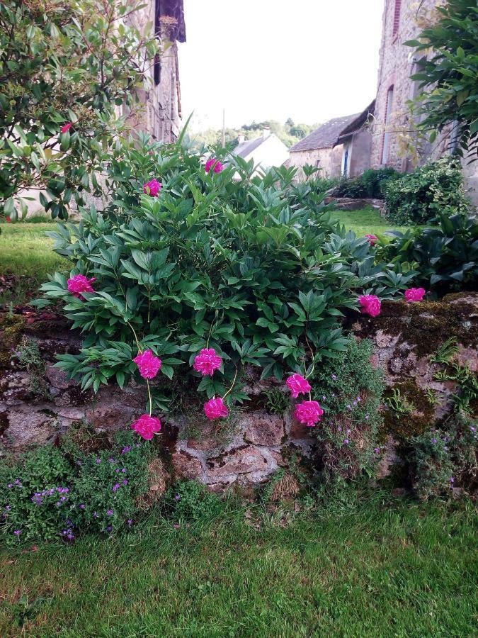 Village De Vie Saint-Vaury Exterior foto